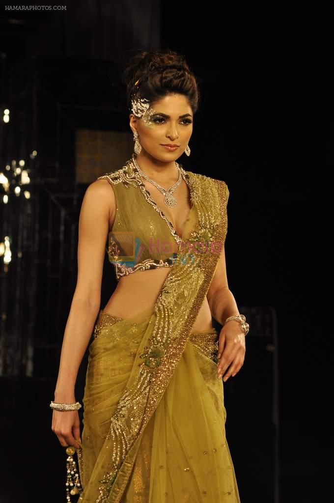 Model walk the ramp for Shane Falguni Show at Amby Valley India Bridal Week day 4 on 26th Sept 2011