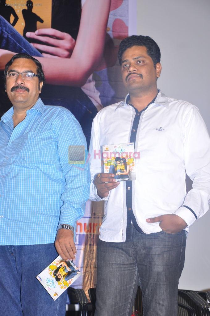 It's My Love Story Audio Launch on 28th September 2011