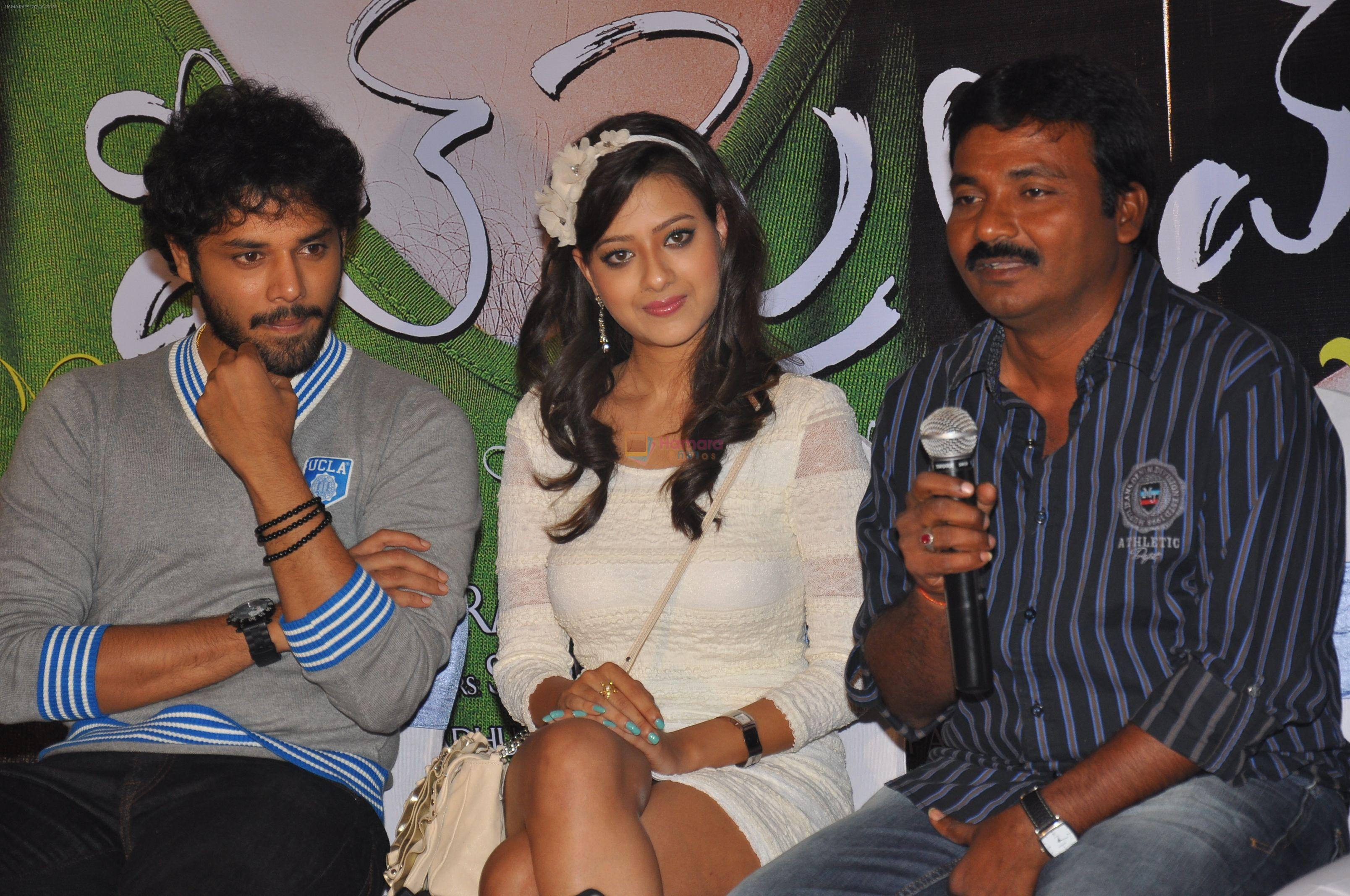 Madalasa Sharma, Nandu, Team attends Feel My Love Movie Press Meet on 5th October 2011