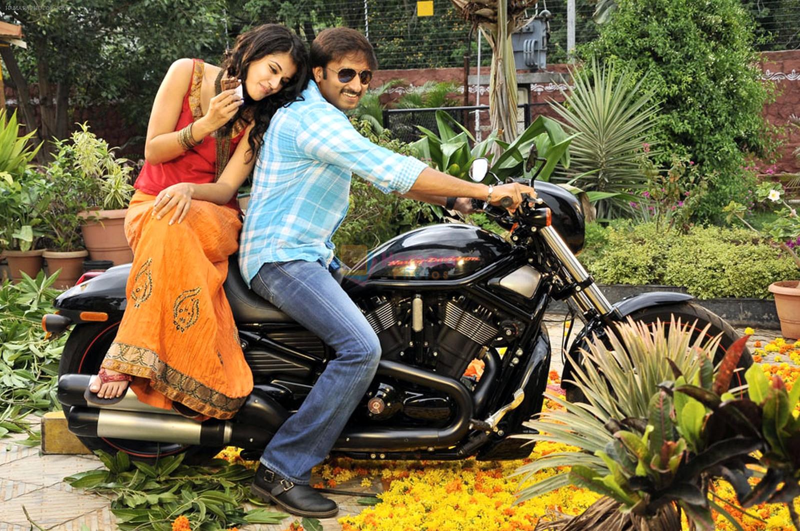 Tapasee Pannu, Gopichand in Mogudu Movie Stills