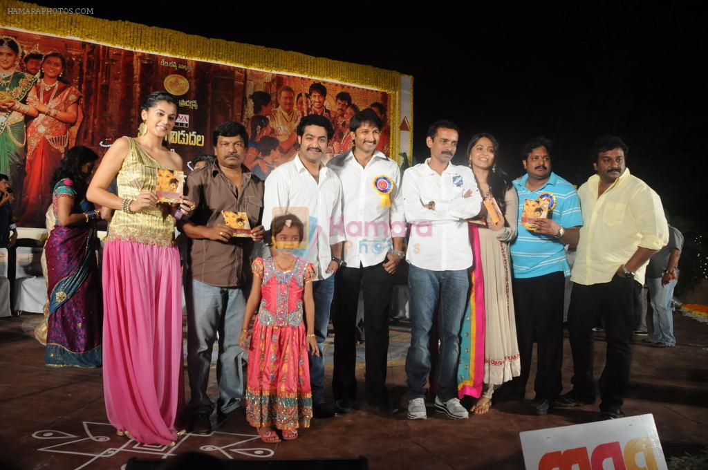 Tapasee Pannu, Gopichand, Roja, Lakshmi Prasanna, Anushka Shetty, Junior NTR and Team attends Mogudu Movie Audio Launch on 11th October 2011