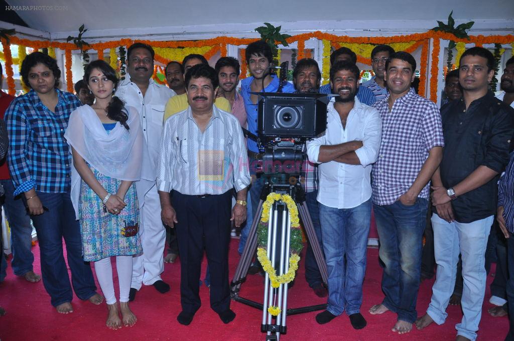 Routine Love Story Movie Opening on 15th October 2011