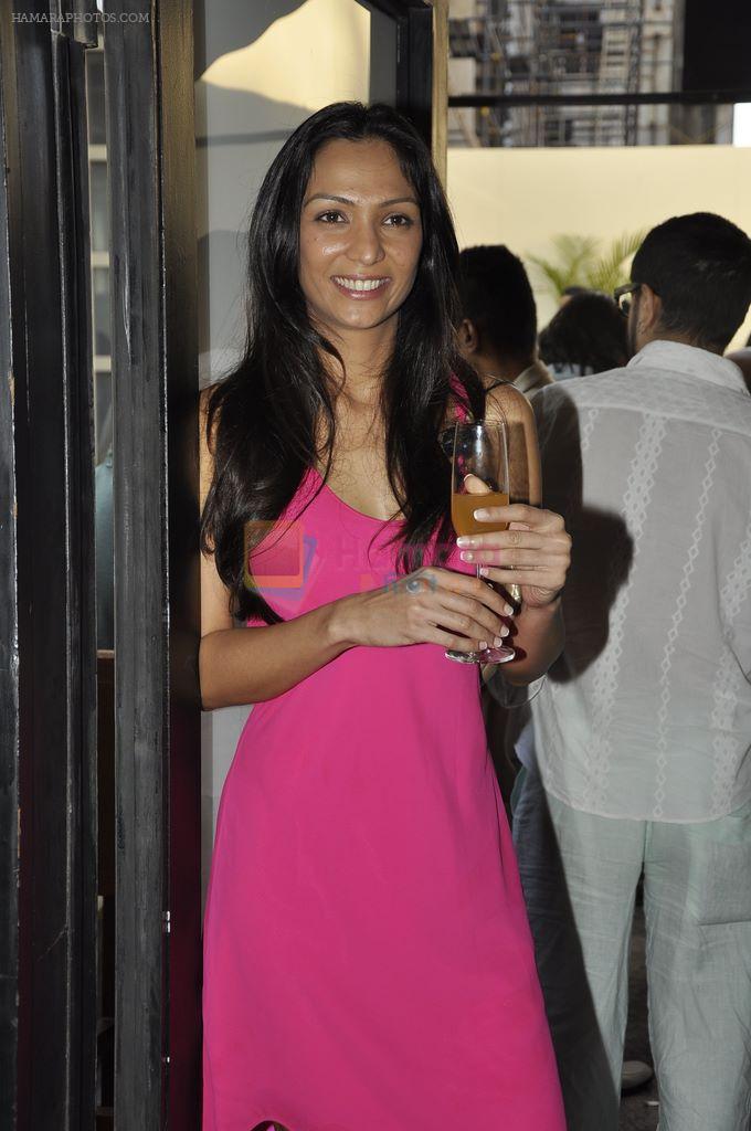 Shamita Singha at the launch of Ulysse Nardin watch in Four Seasons, Mumbai on 11th Dec 2011