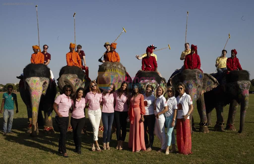 at the British Polo Day India 2011 in Jodhpur, India on 10th Dec 2011