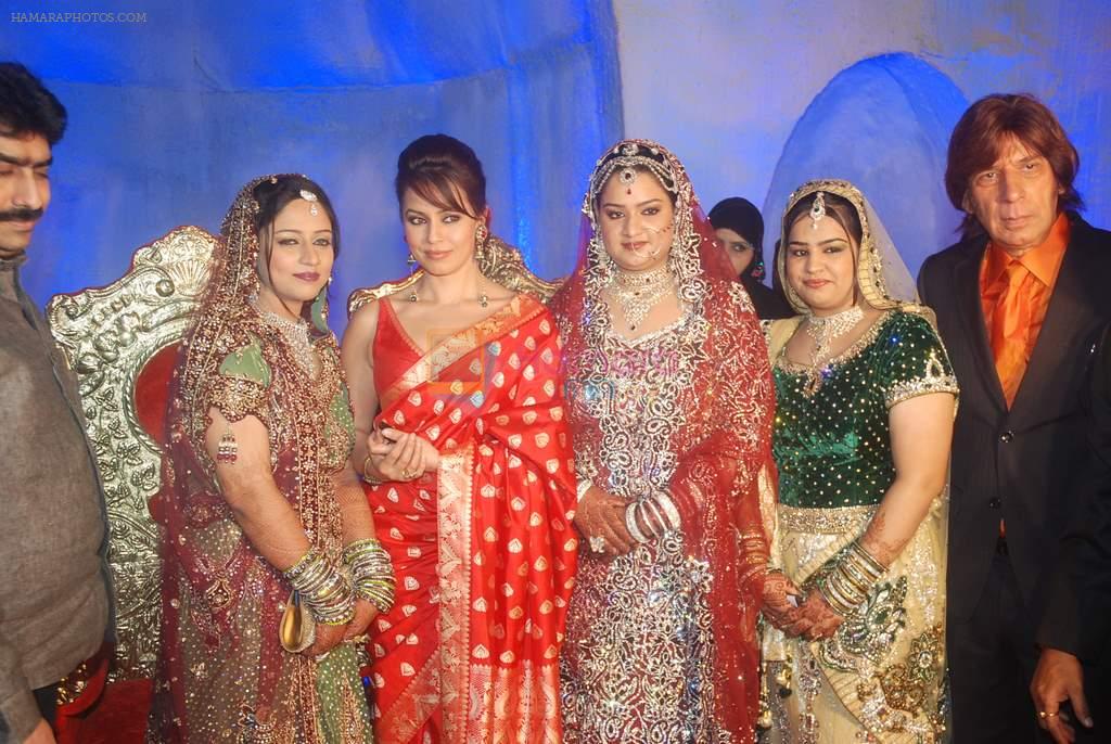 Mahima Chaudhary at Babloo Aziz's nephew Suhail's wedding reception in Goregaon on 11th Jan 2012