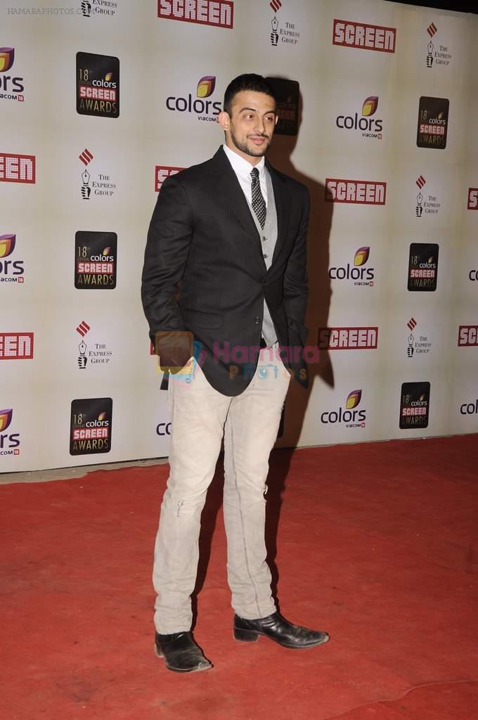Arunoday Singh at Star Screen Awards 2012 in Mumbai on 14th Jan 2012
