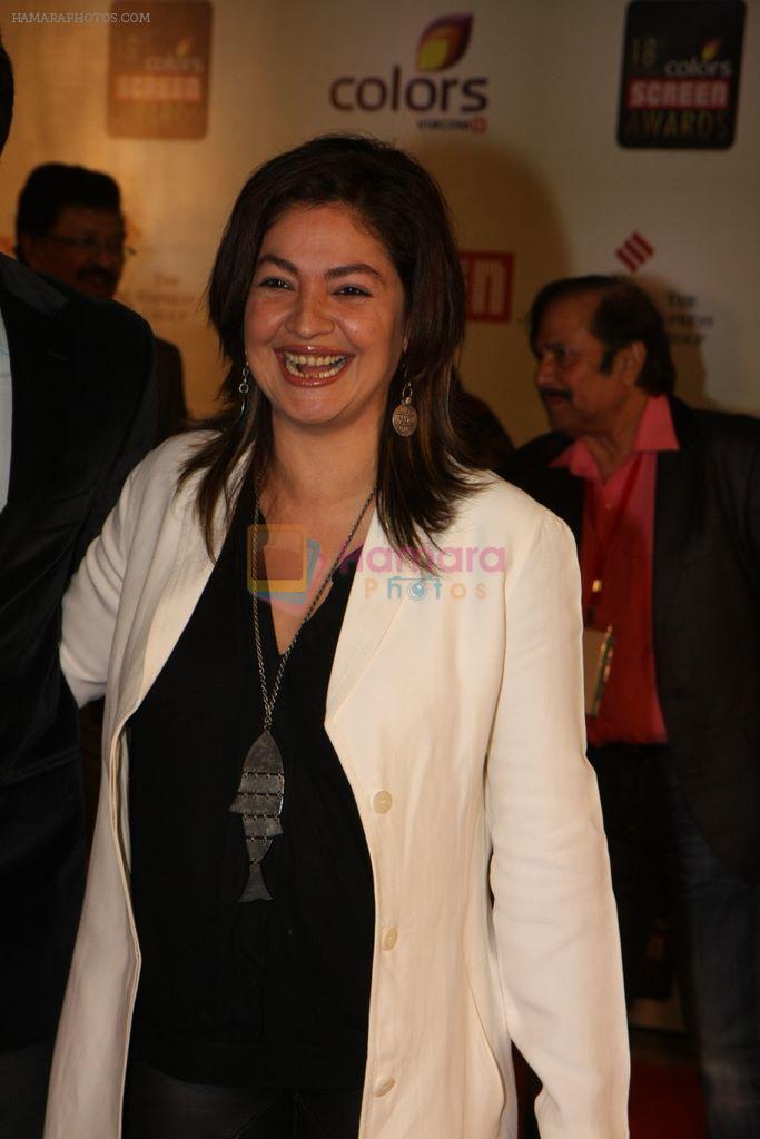Pooja Bhatt at Star Screen Awards 2012 in Mumbai on 14th Jan 2012