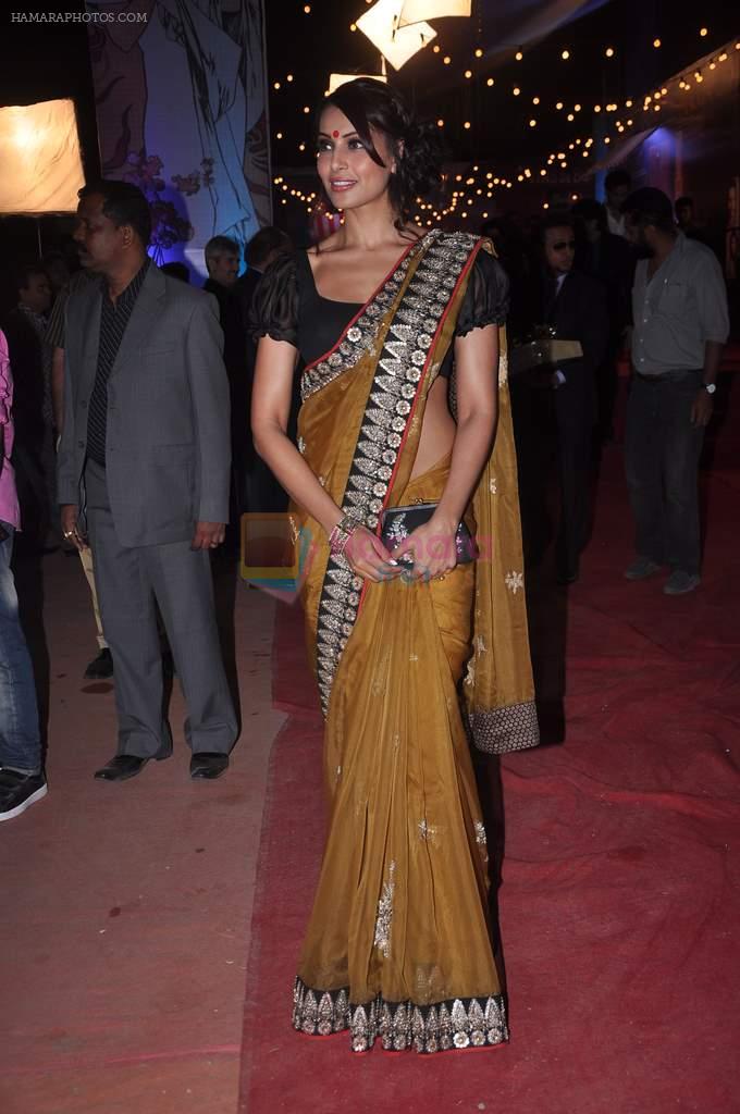 Bipasha Basu at Stardust Awards red carpet in Mumbai on 10th Feb 2012