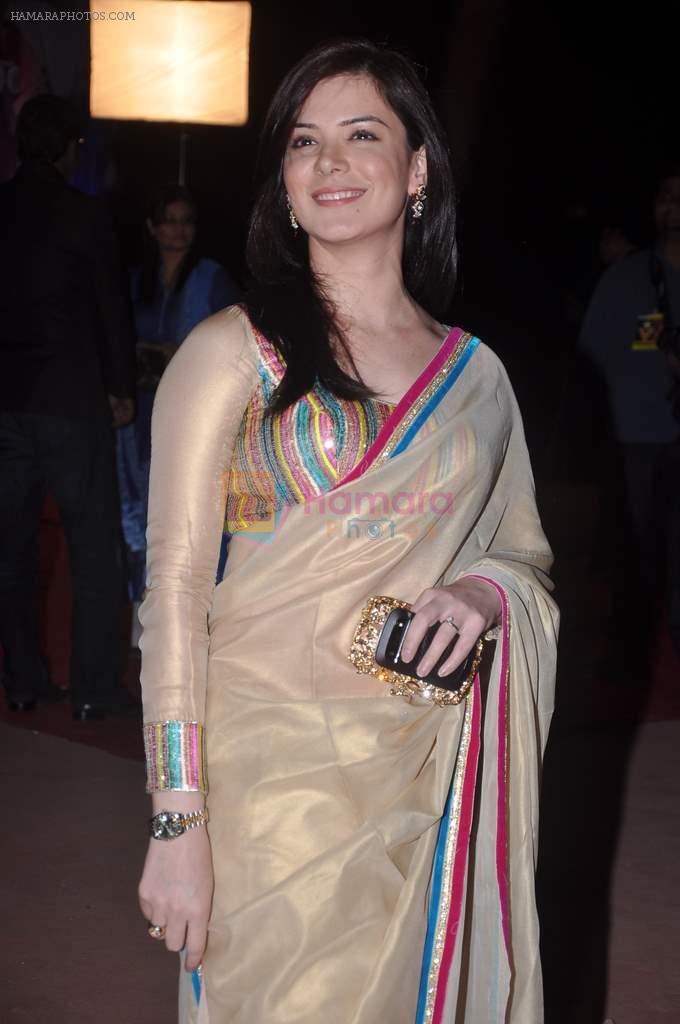 Urvashi Sharma at Stardust Awards red carpet in Mumbai on 10th Feb 2012