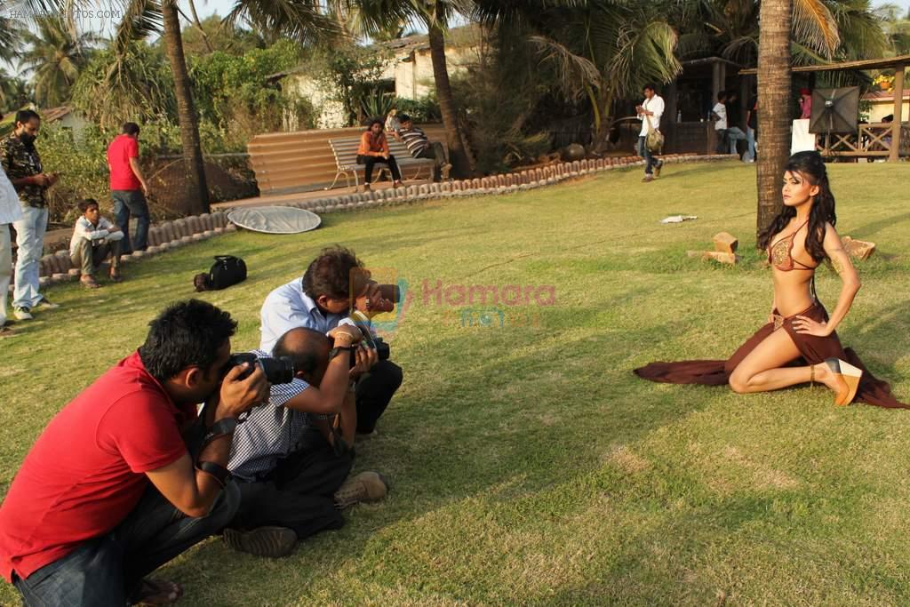 Sakshi Pradhan photoshoot for Umair Zafar on 19th Feb 2012