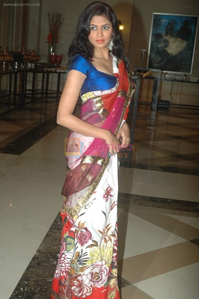 Kavita Kaushik at Vikas Kalantri wedding sangeet in J W Marriott on 22nd Feb 2012