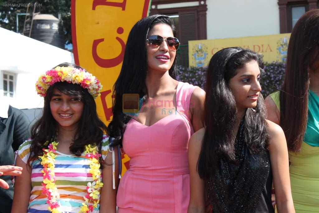 Veena Malik at Wadia Cup Derby in Mumbai on 11th March 2012