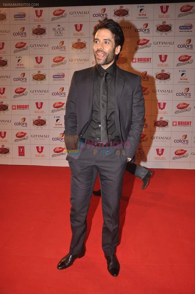 Tusshar Kapoor at The Global Indian Film & Television Honors 2012 in Mumbai on 15th March 2012