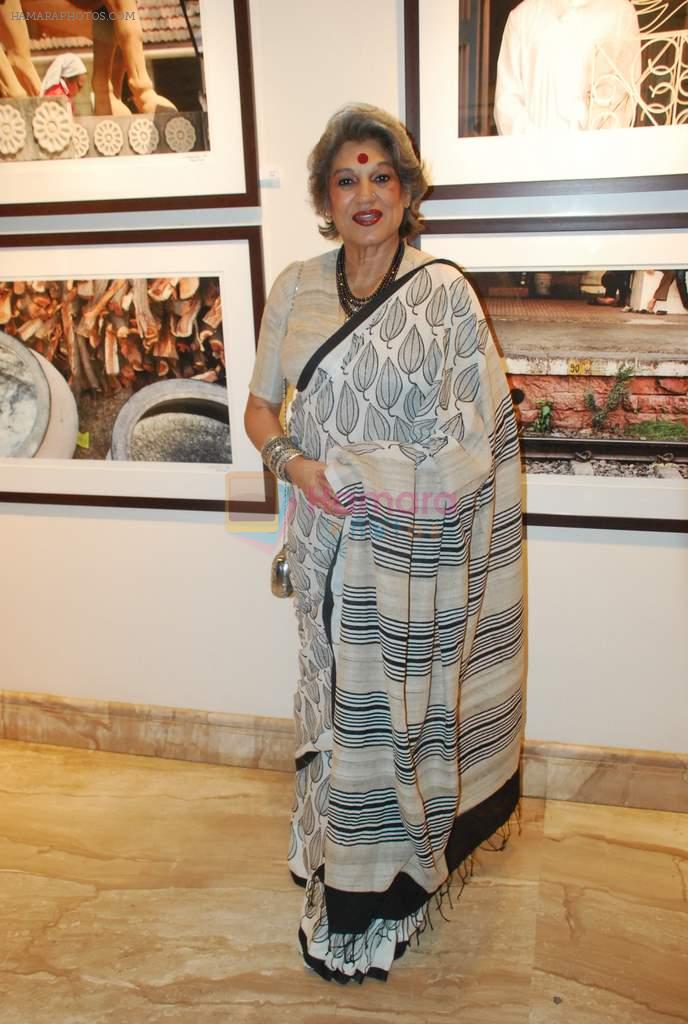 Dolly Thakore at photographer Shantanu Das exhibition in Tao Art Gallery on 28th March 2012