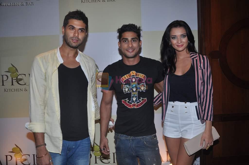 Amy Jackson, Prateik Babbar at Apicus lounge launch in Mumbai on 29th March 2012