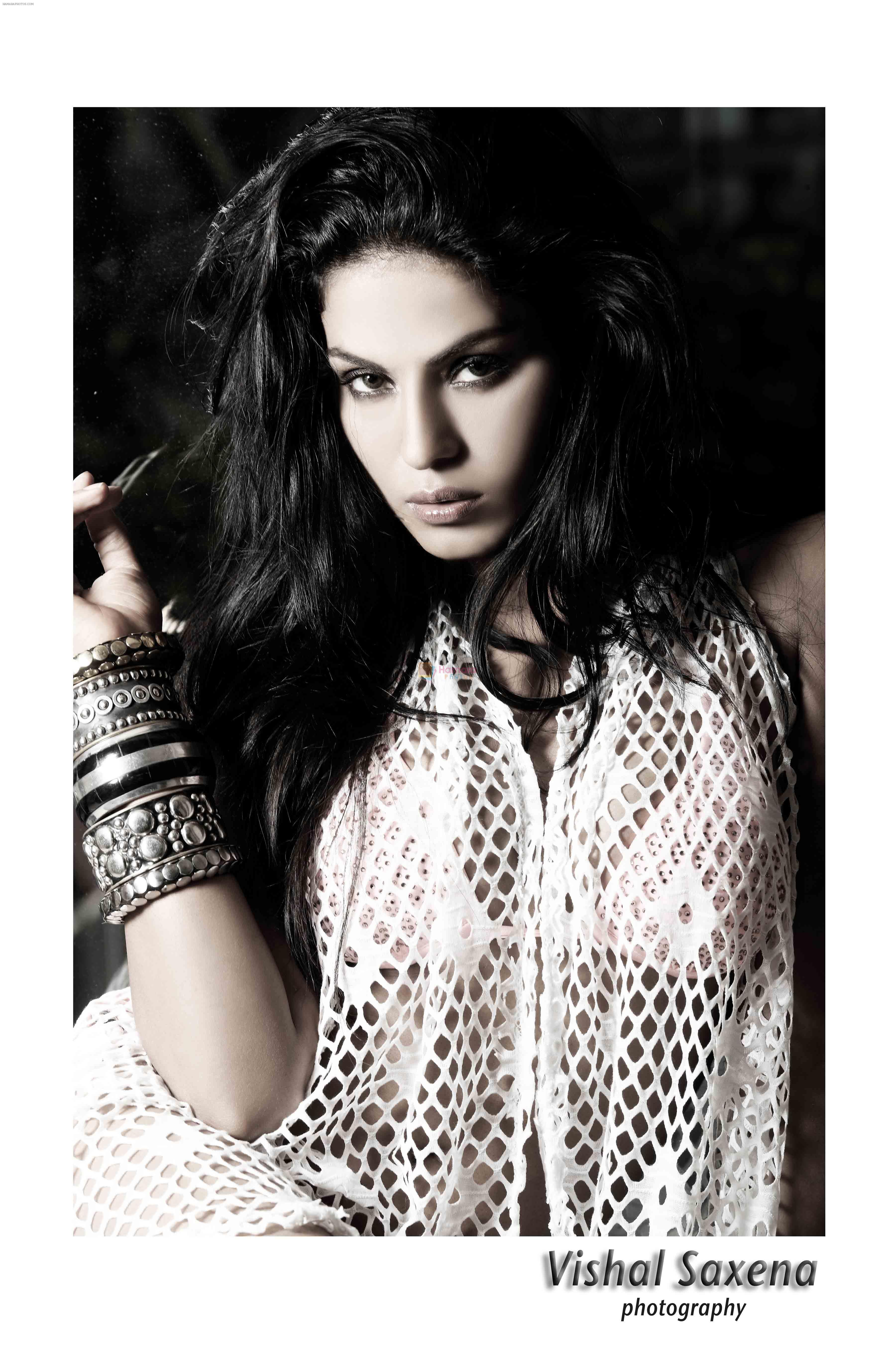 Veena Malik in themovie Rajni ki lag gai