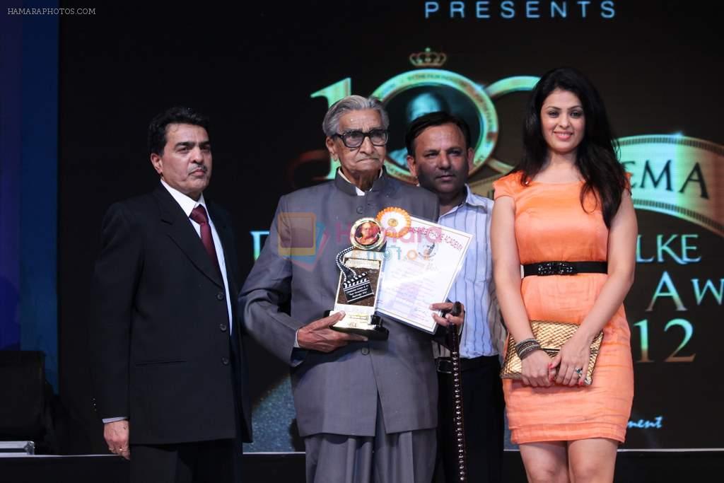 Anjana Sukhani at 143rd Dadasaheb Phalke Academy Awards 2012 on 3rd May 2012