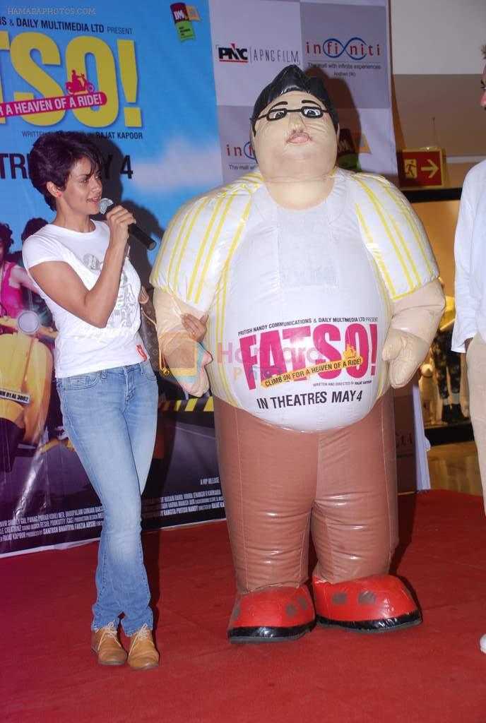 Gul Panag at Fatso film promotions in Cinemax, Mumbai on 3rd May 2012