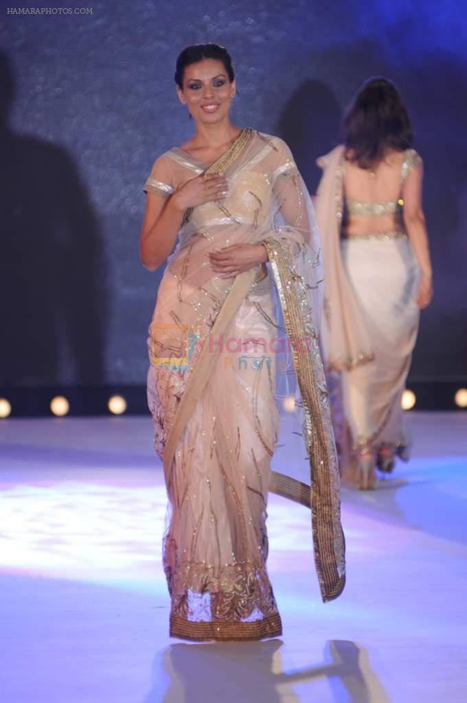 Deepti Gujral at Pidilite presents Manish Malhotra, Shaina NC show for CPAA in Mumbai on 1st July 2012