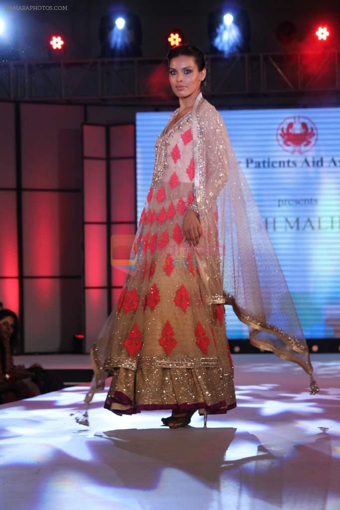 Deepti Gujral at Pidilite presents Manish Malhotra, Shaina NC show for CPAA in Mumbai on 1st July 2012
