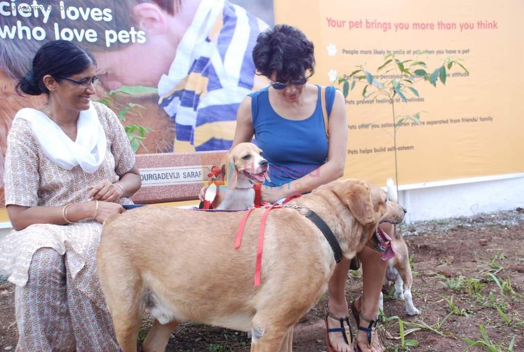 Gul panag at pet park launch in Yari Road, Mumbai on 2nd July 2012