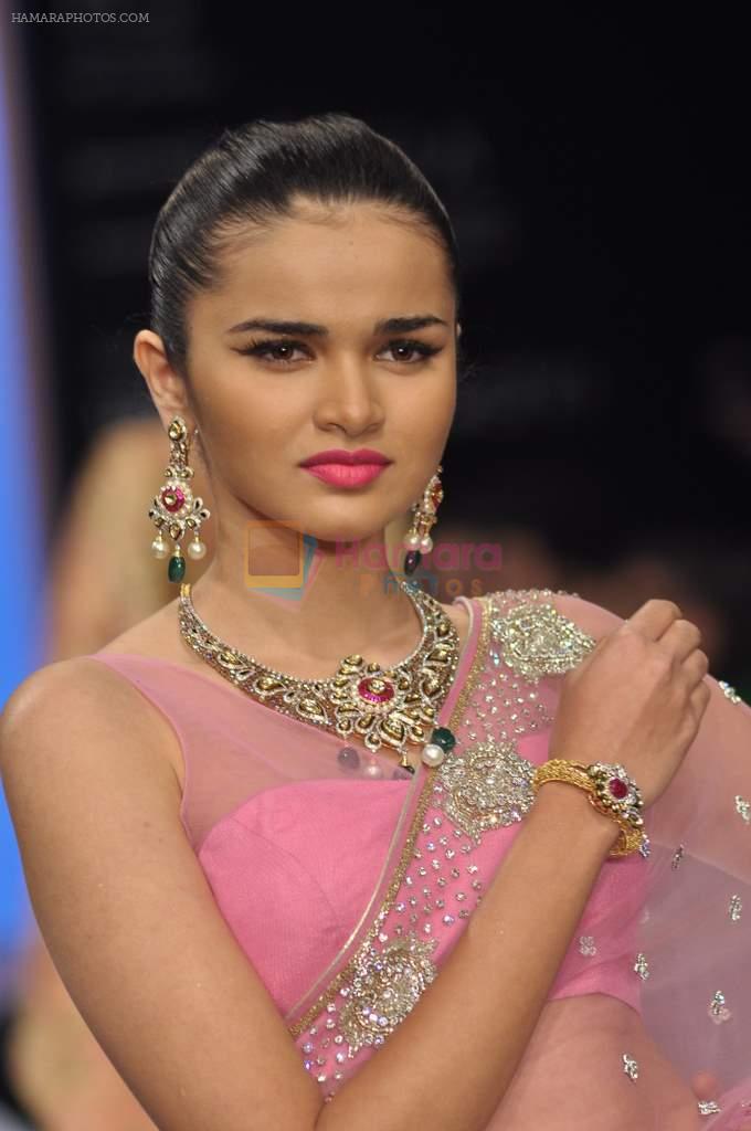 Model walks the ramp for Kriplani & Sons Show at IIJW Day 4 on 22nd Aug 2012
