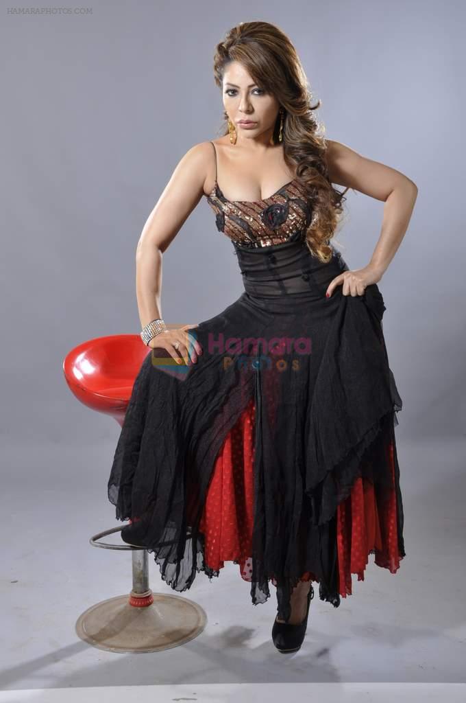 Laila Khan's dandia photo shoot on 27th Sept 2012
