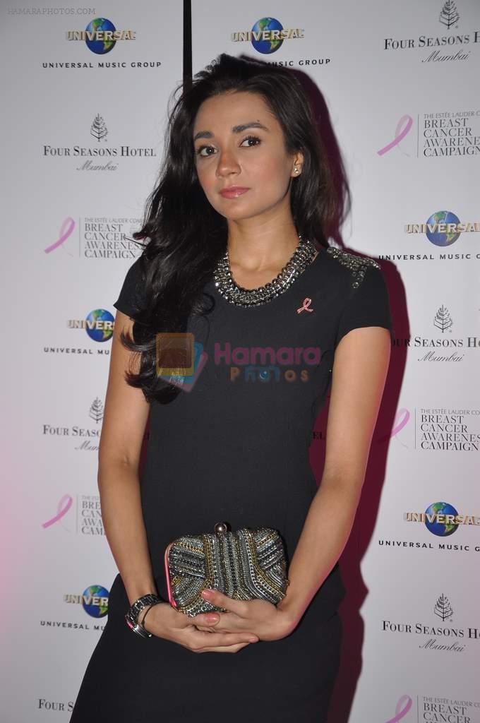 Ira Dubey at Estee Lauder Breast Cancer Awareness campaign bash in Air, Four Seasons on 30th Oct 2012