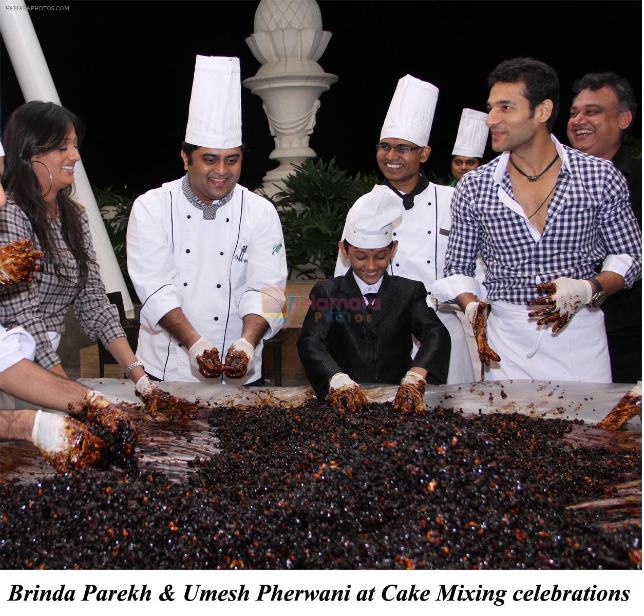 Brinda Parekh & Umesh Pherwani at Cake Mixing Celebrations at Hotel Meluha the fern