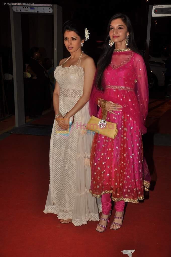 Bhagyashree at ITA Awards red carpet in Mumbai on 4th Nov 2012,1