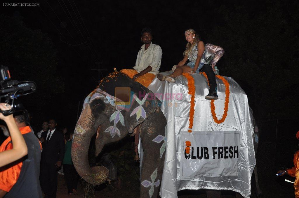 Paris Hilton arrives on an elephant at Shane Falguni bash in Cafe Fresh, Goa on 2nd Dec 2012