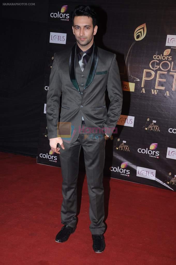 Nandish Sandhu at Golden Petal Awards in Mumbai on 3rd Dec 2012