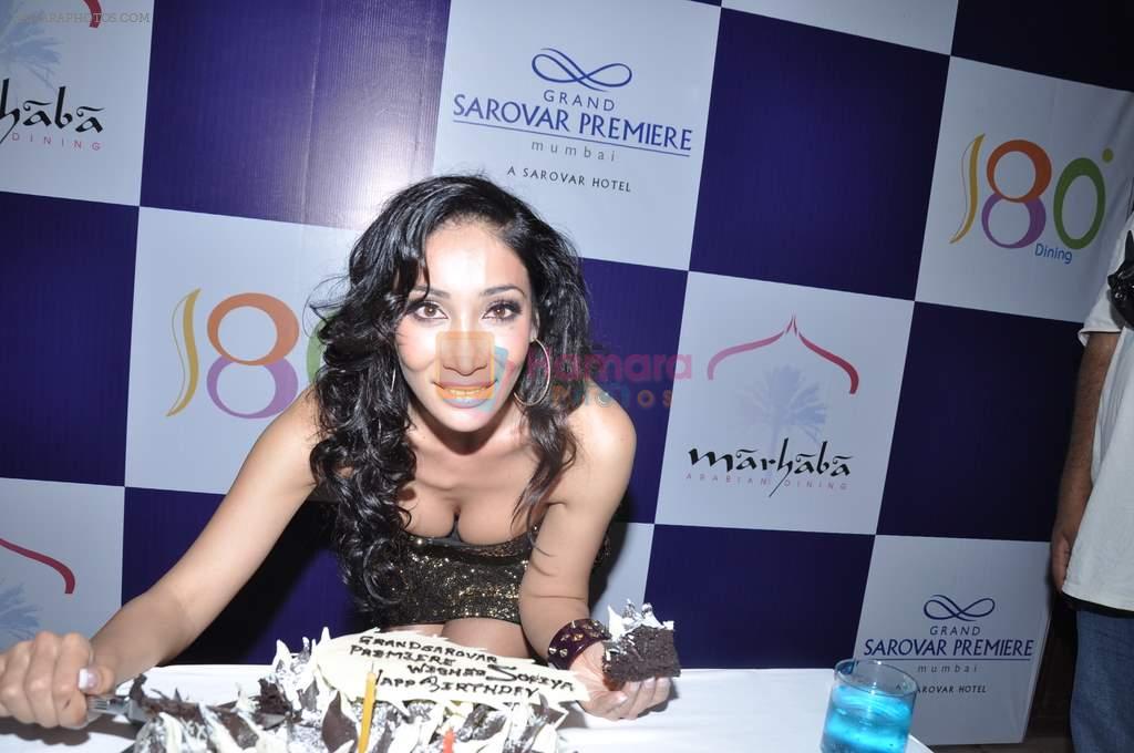 Sofia Hayat's birthday celebrations at The Grand Sarovar Premiere in Marhaba, Mumbai on 6th Dec 2012