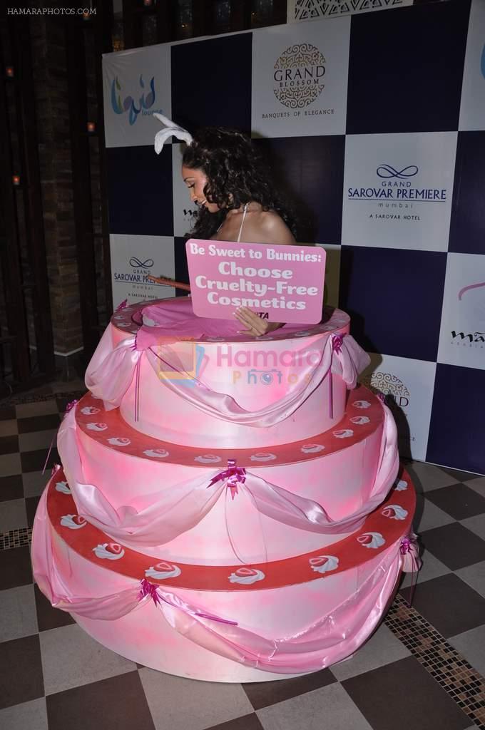 Sofia Hayat's birthday celebrations at The Grand Sarovar Premiere in Marhaba, Mumbai on 6th Dec 2012