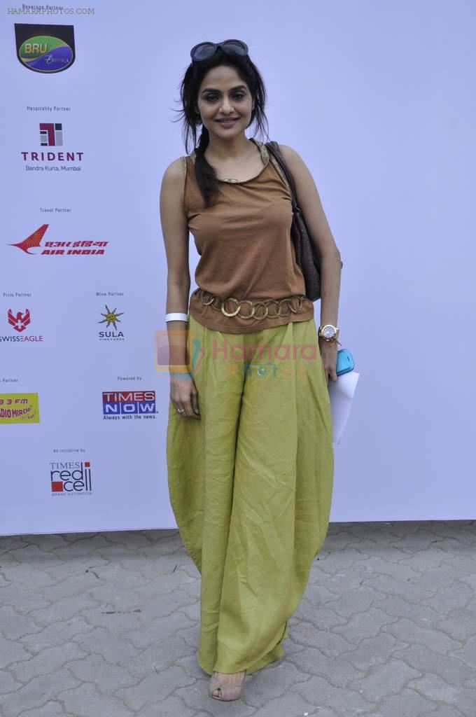 Madhoo Shah at Times Literature Festival day 2 in Mumbai on 8th Dec 2012