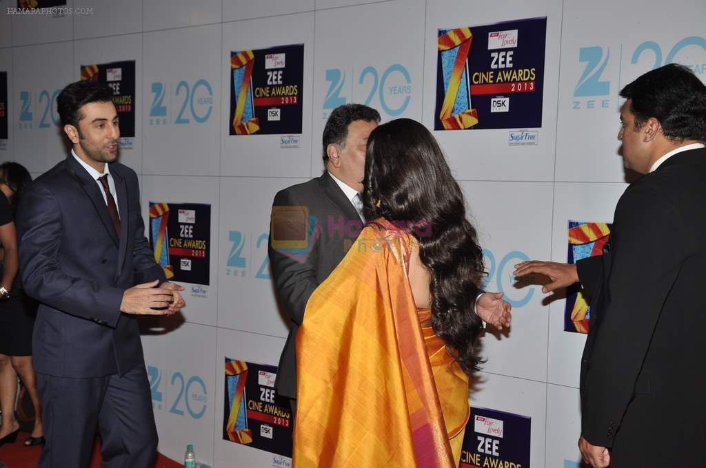 Vidya Balan at Zee Awards red carpet in Mumbai on 6th Jan 2013