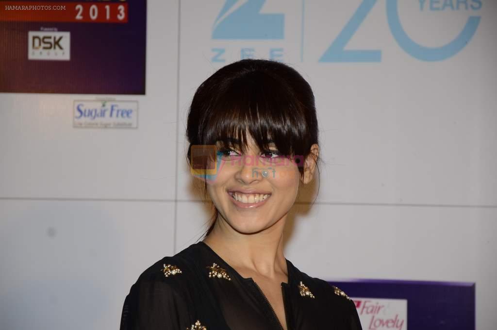 Genelia D Souza at Zee Awards red carpet in Mumbai on 6th Jan 2013,1
