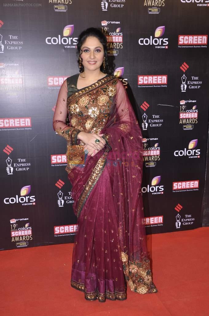 Garcy Singh at Screen Awards red carpet in Mumbai on 12th Jan 2013