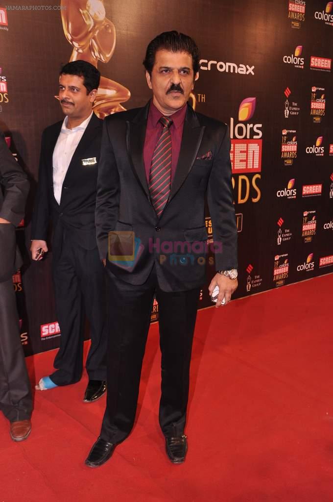 Rajesh Khattar at Screen Awards red carpet in Mumbai on 12th Jan 2013