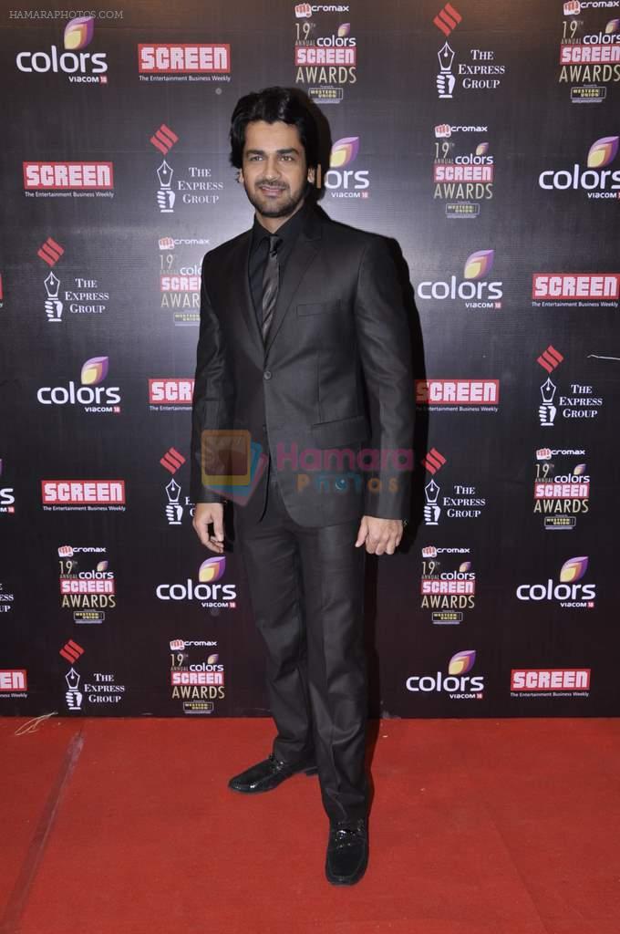 Arjan Bajwa at Screen Awards red carpet in Mumbai on 12th Jan 2013