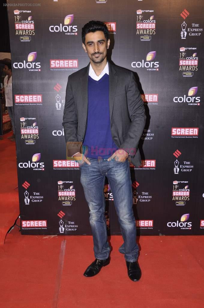 Kunal Kapoor at Screen Awards red carpet in Mumbai on 12th Jan 2013