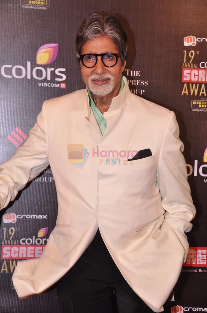 Amitabh Bachchan at Screen Awards red carpet in Mumbai on 12th Jan 2013
