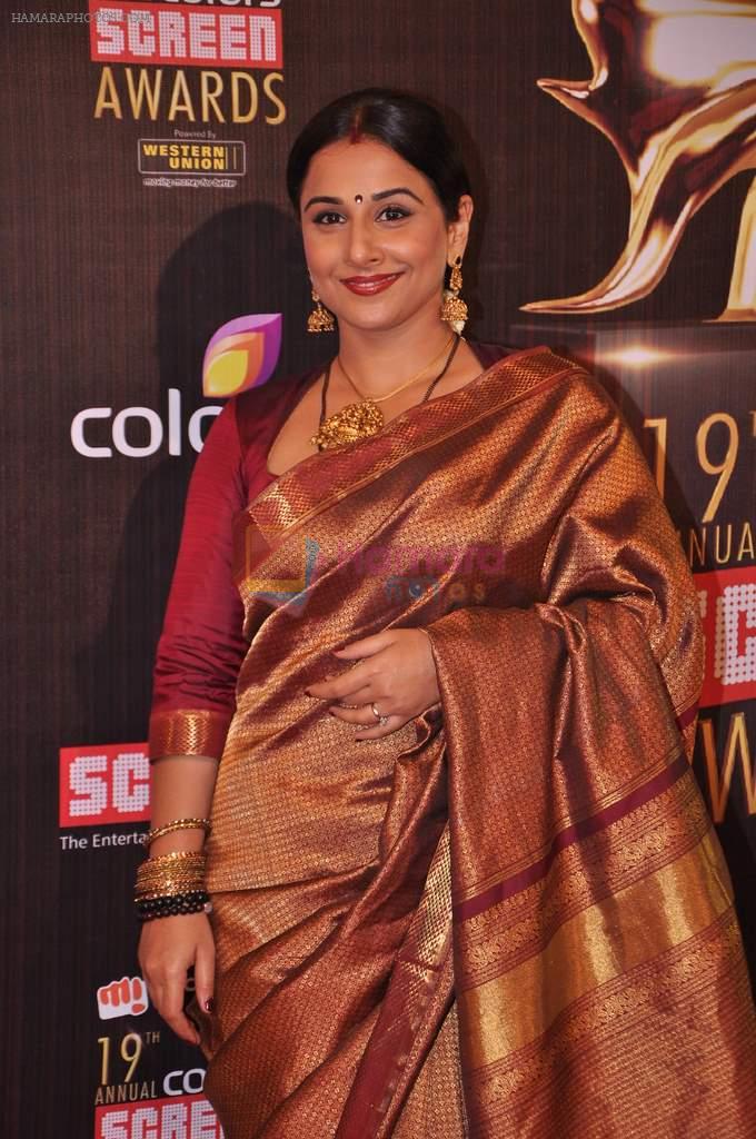 Vidya Balan at Screen Awards red carpet in Mumbai on 12th Jan 2013