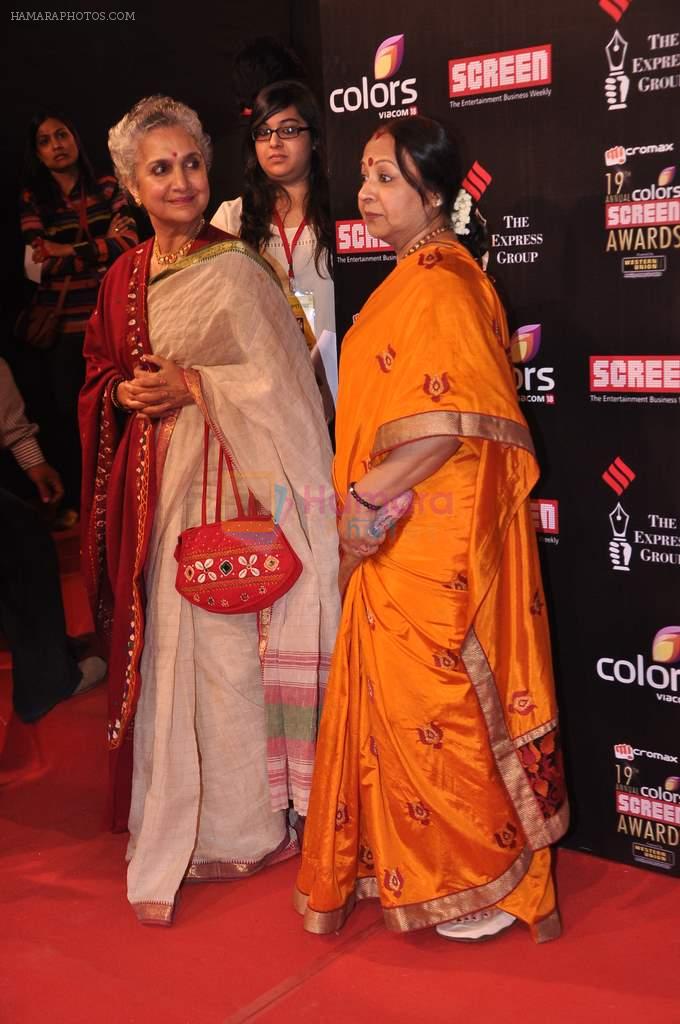 at Screen Awards red carpet in Mumbai on 12th Jan 2013
