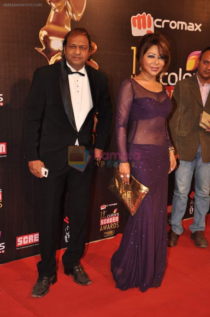 Laila Khan at Screen Awards red carpet in Mumbai on 12th Jan 2013