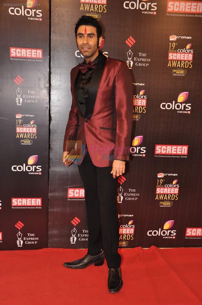 Sandip Soparkar at Screen Awards red carpet in Mumbai on 12th Jan 2013