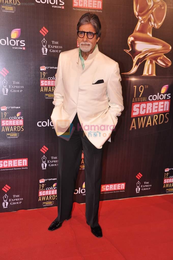 Amitabh Bachchan at Screen Awards red carpet in Mumbai on 12th Jan 2013