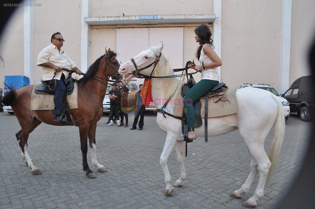 Ileana D'Cruz snapped riding horse for Phata Poster Nikla Hero in Mehboob, Mumbai on 24th Jan 2013
