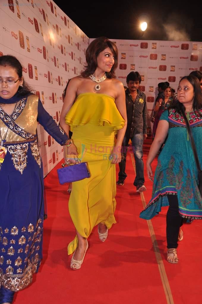 Bipasha BAsu at Stardust Awards 2013 red carpet in Mumbai on 26th jan 2013