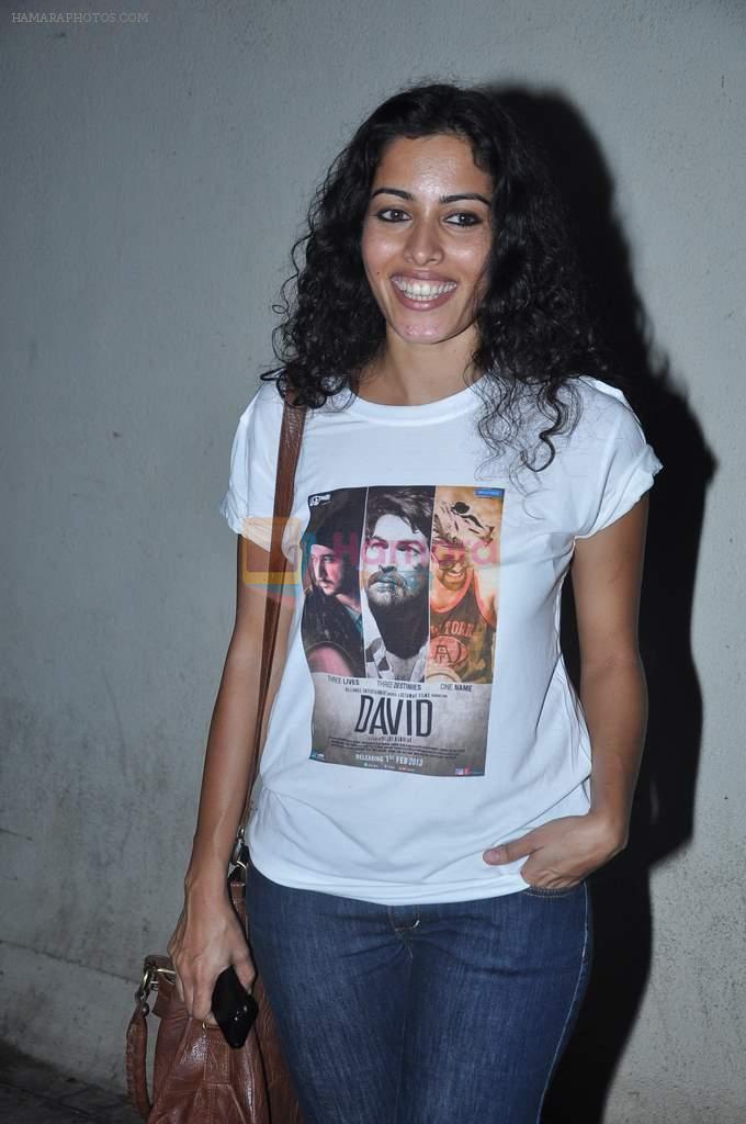 at David premiere in PVR, Mumbai on 31st Jan 2013
